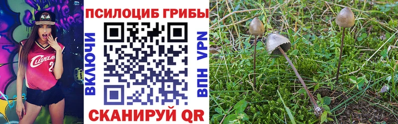 Псилоцибиновые грибы прущие грибы  Льгов 